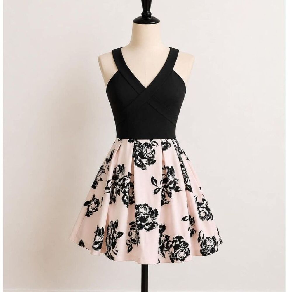 Crystal Doll Size 1 Blush Pink & Black Floral Fit & Flare Dress